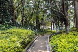 翠海花園|大平面|雙陽臺|東南向看花園|視野景觀好