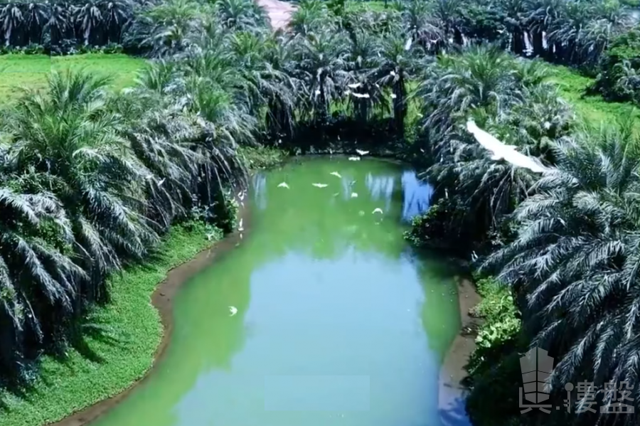 中山雅居樂民森迪茵湖，首期5萬(減)，香港銀行按揭，最新價單